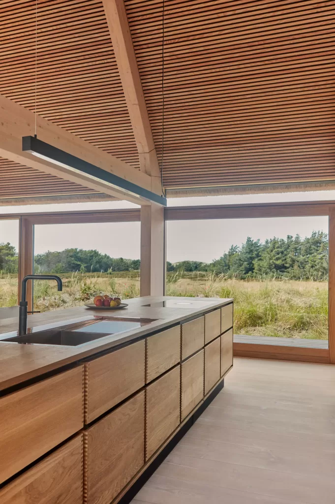 آشپزخانه‌ی خانه‌ی ساحلی چوبی مدرن دانمارکی با دکور چوبی و منظره‌ی زیبای اقیانوس